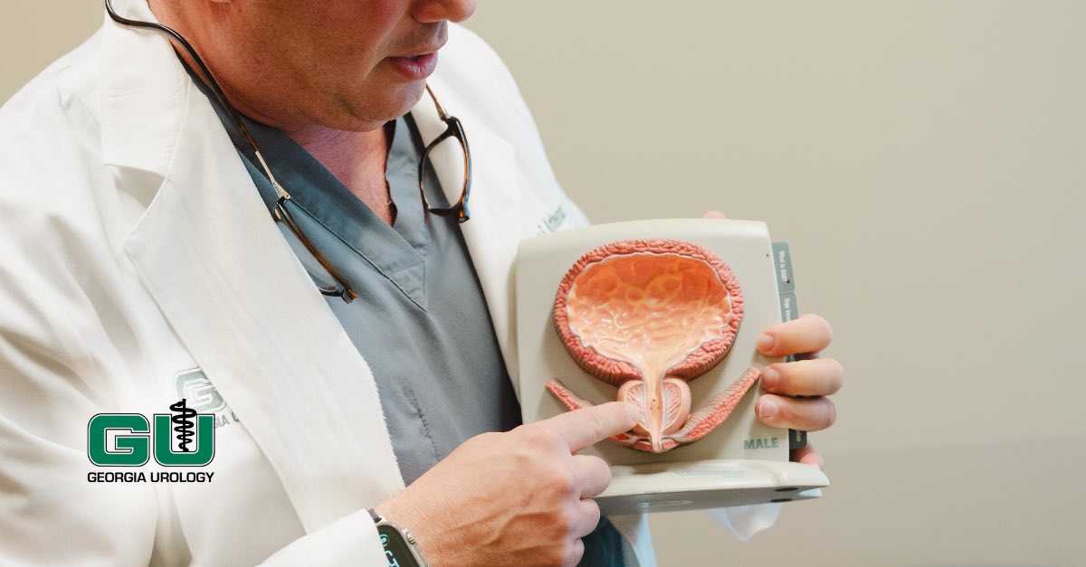 Dr. Kriteman holding male bladder diagram and pointing to it