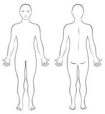 Photo of a genderless naked person, front and back. 