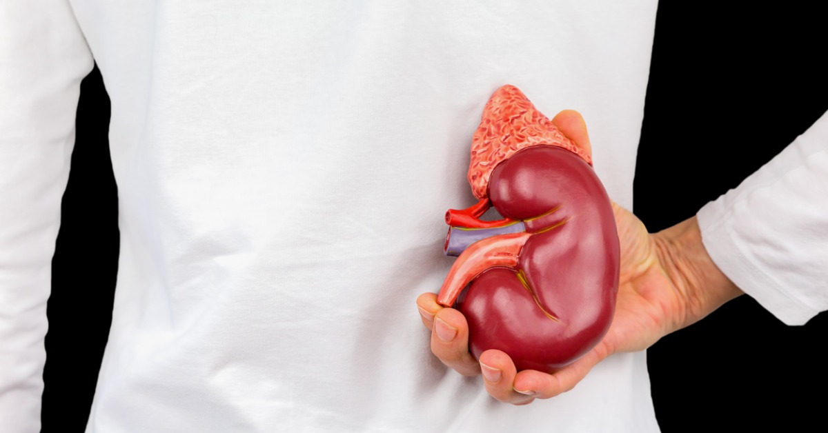 Major Kidney Disease Risk Factors | Georgia Urology